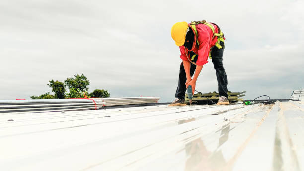 Best Gutter Installation and Repair  in Nicollet, MN